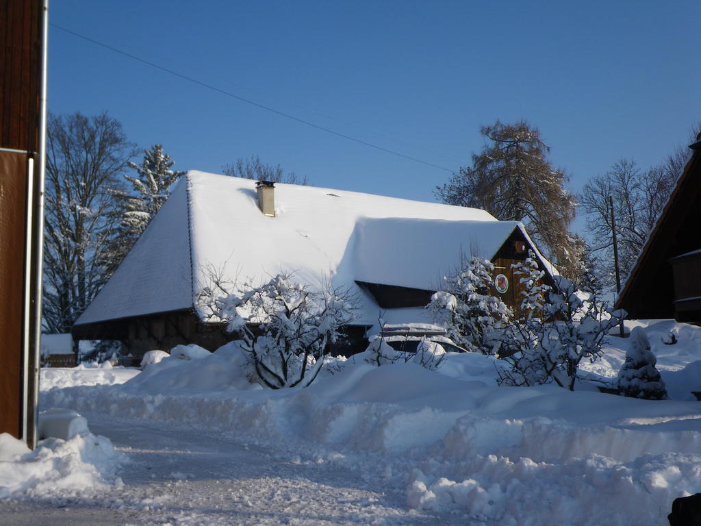 Villa Bühl 3 Affoltern Am Albis Exterior foto