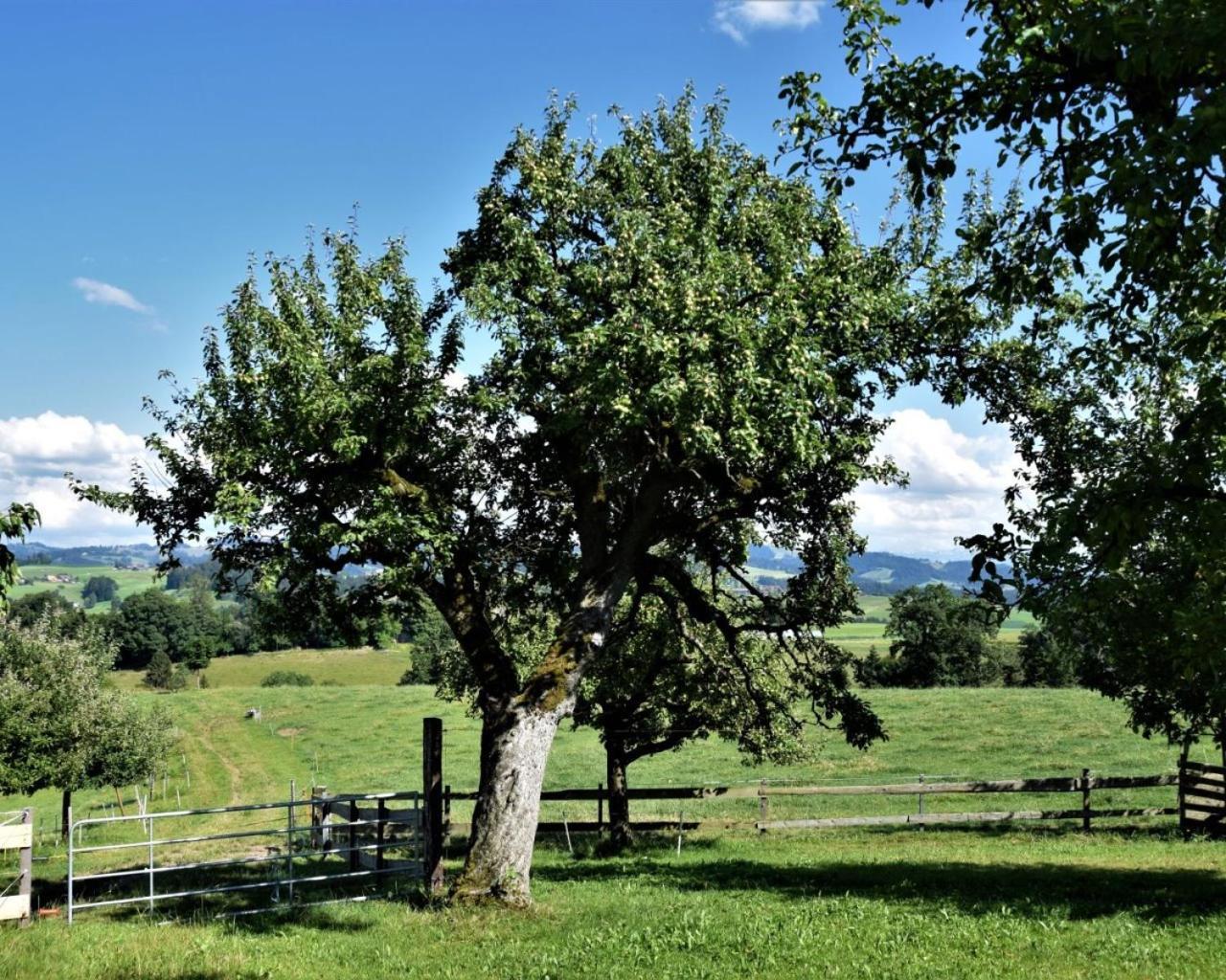 Villa Bühl 3 Affoltern Am Albis Exterior foto